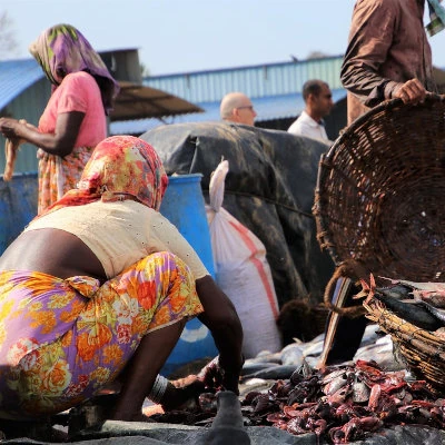 Fish Market