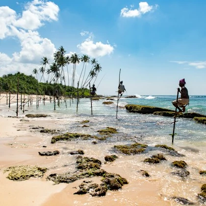 fisherman