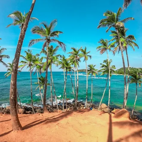 mirissa