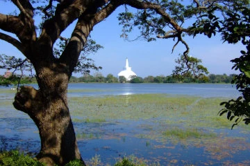 Anuradhapura City