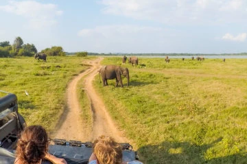 Kaudulla National Park