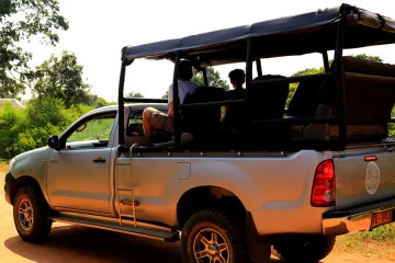 Yala National Park Safari